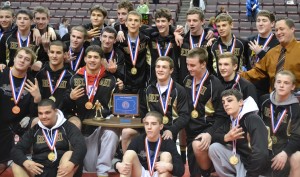 The Bethlehem Catholic Golden Hawks are  hoping to upgrade to PIAA Class AAA Gold.